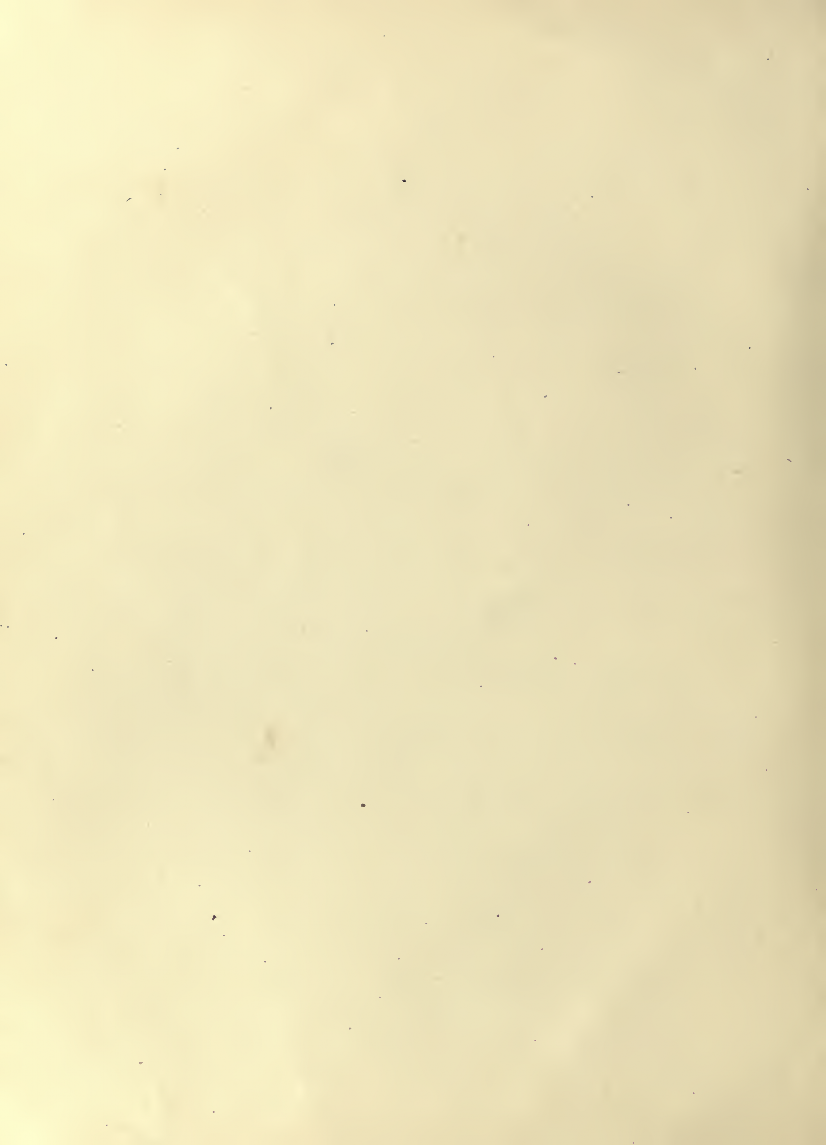 History of Chinese Writing Book