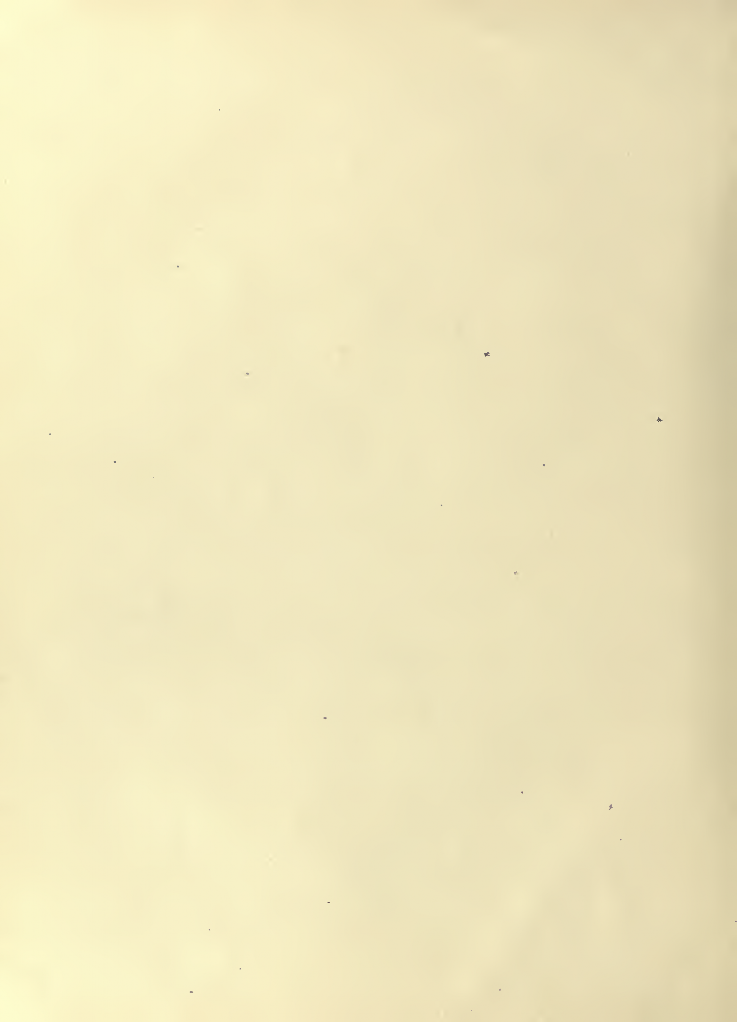 History of Chinese Writing Book