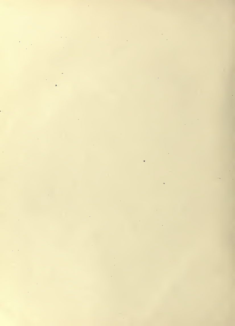 History of Chinese Writing Book