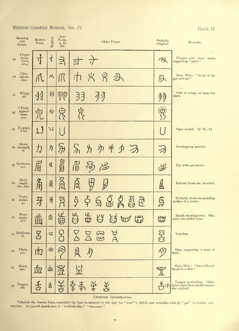 History of Chinese Writing Book