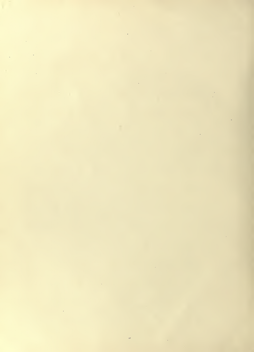 History of Chinese Writing Book