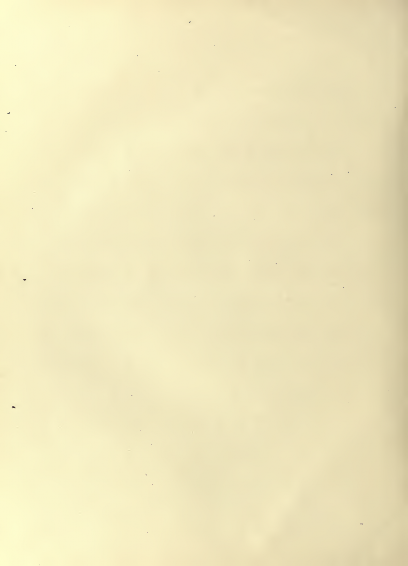 History of Chinese Writing Book