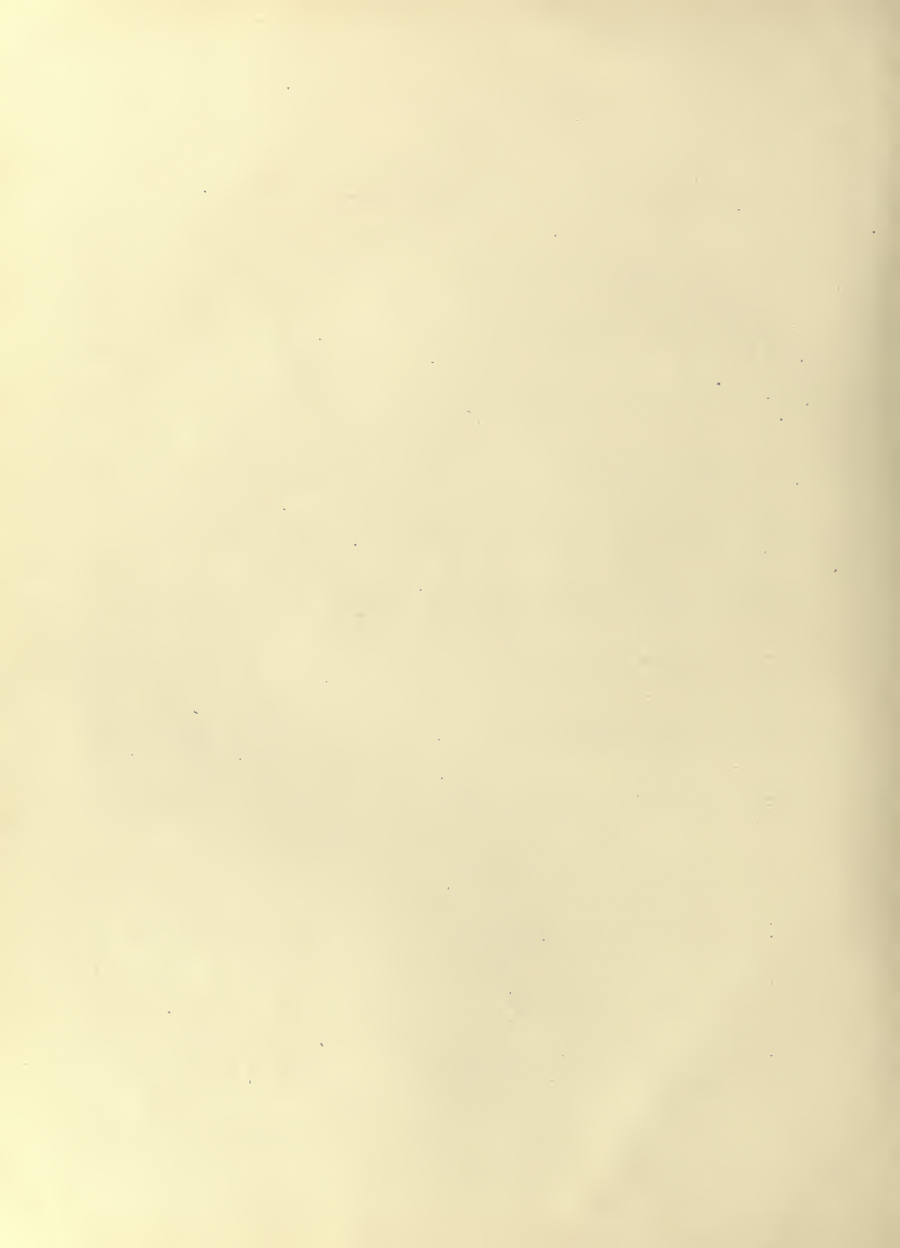 History of Chinese Writing Book