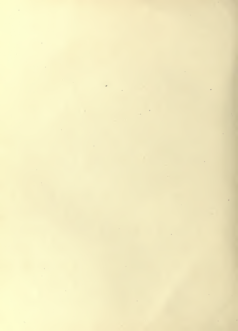 History of Chinese Writing Book