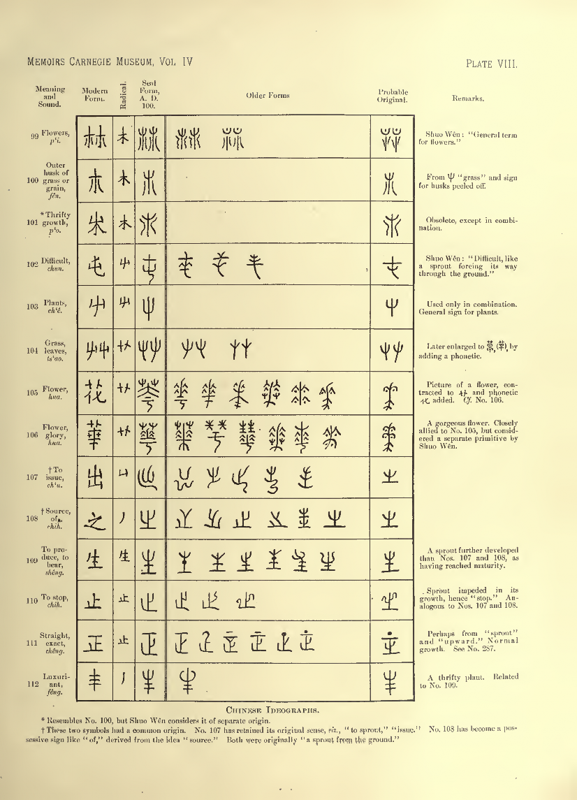 History of Chinese Writing Book