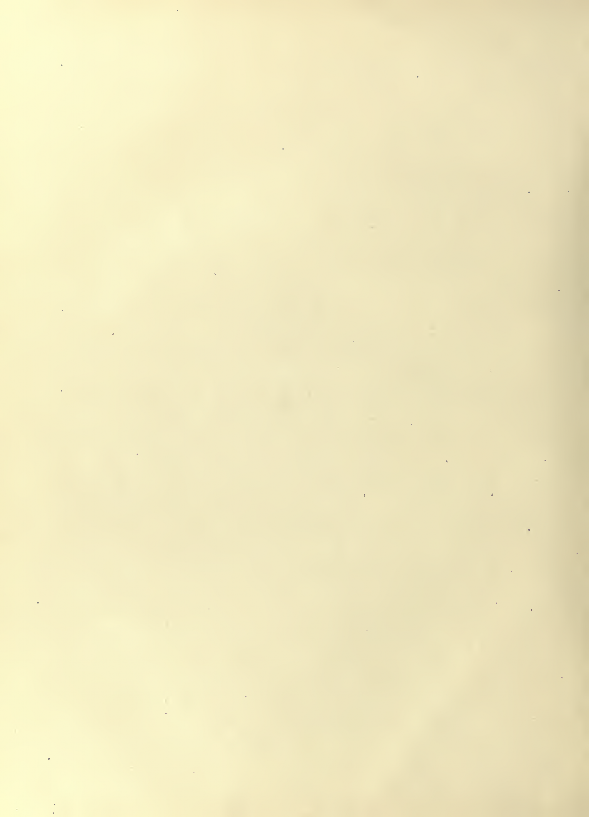 History of Chinese Writing Book