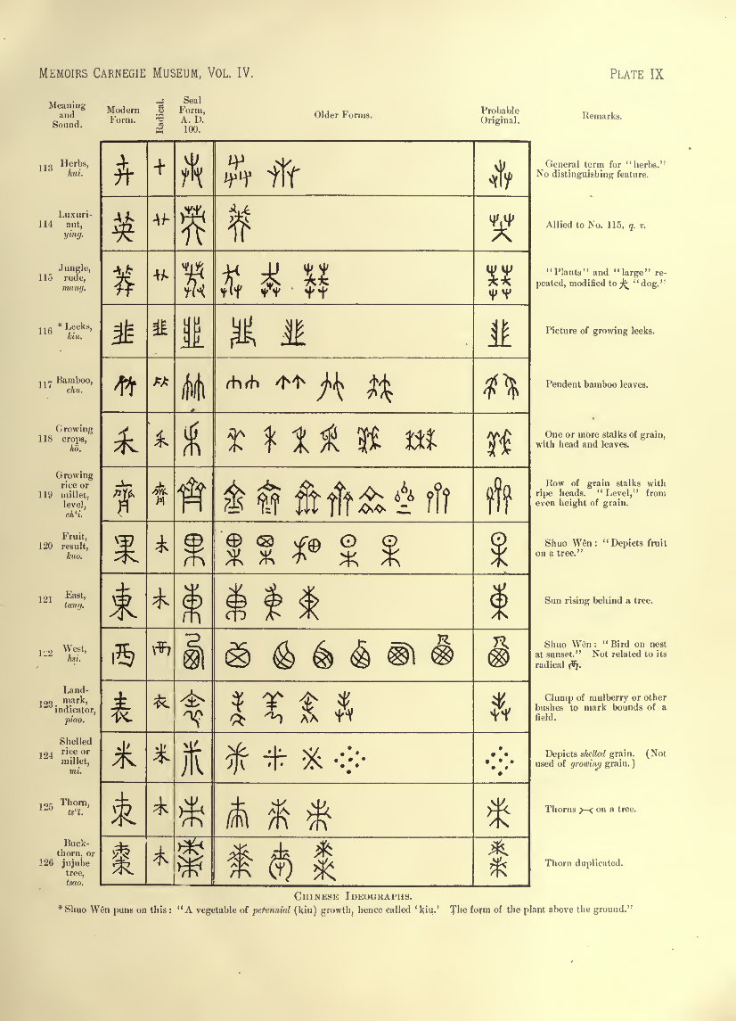 History of Chinese Writing Book