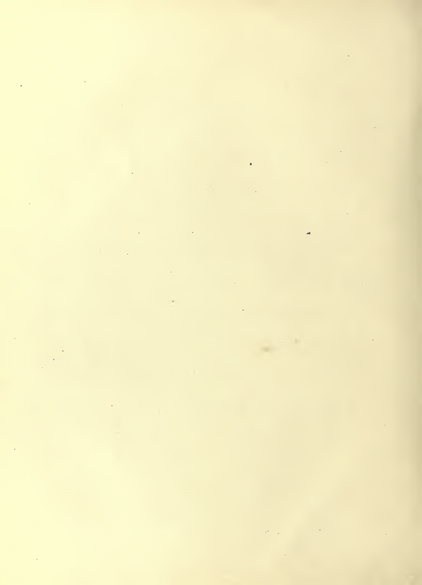 History of Chinese Writing Book