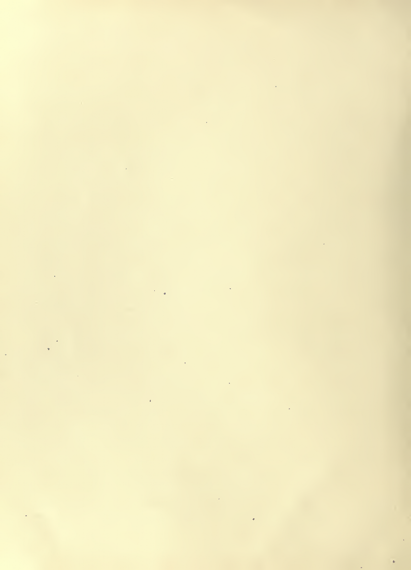History of Chinese Writing Book