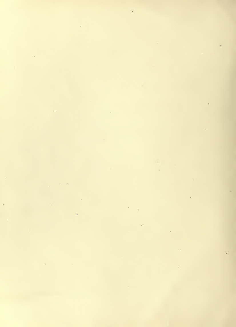History of Chinese Writing Book