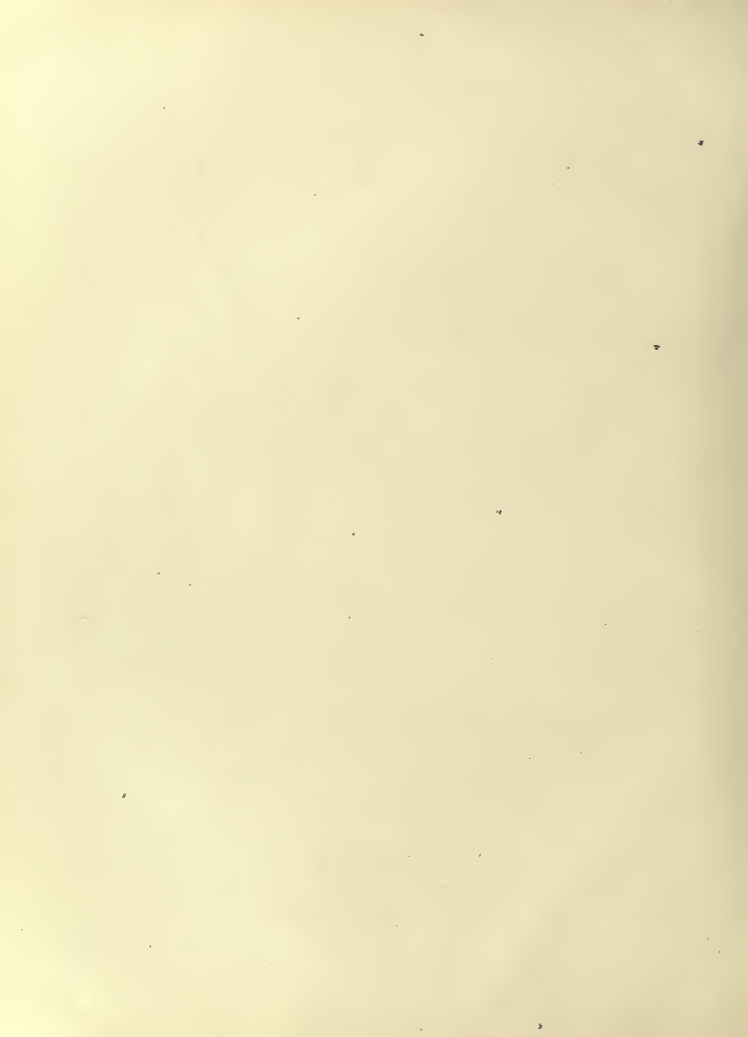History of Chinese Writing Book