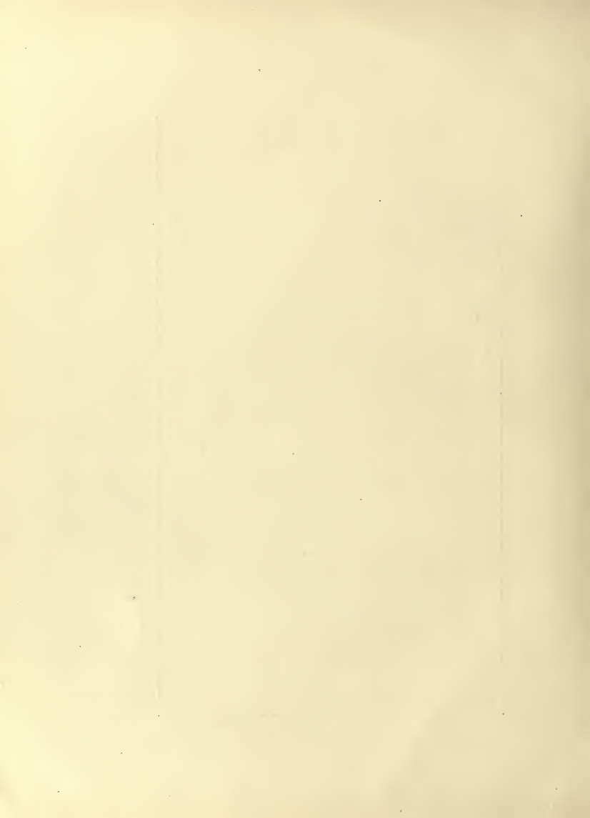 History of Chinese Writing Book