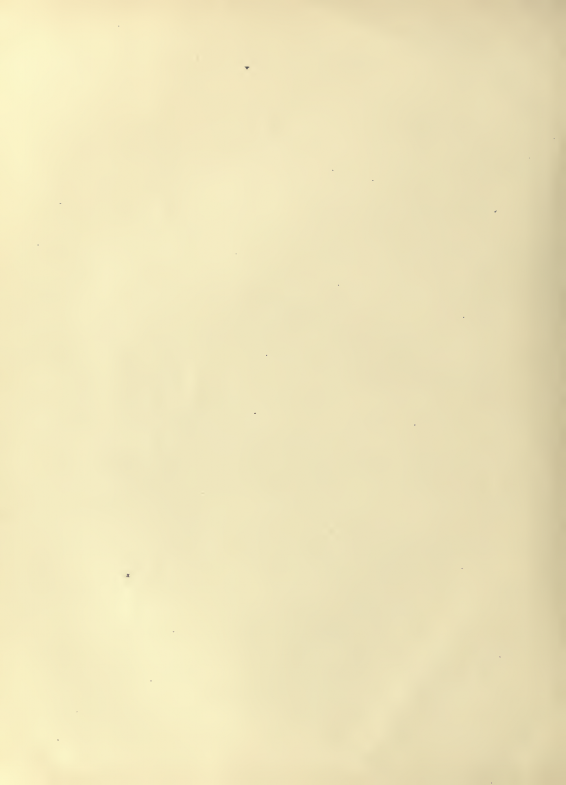 History of Chinese Writing Book