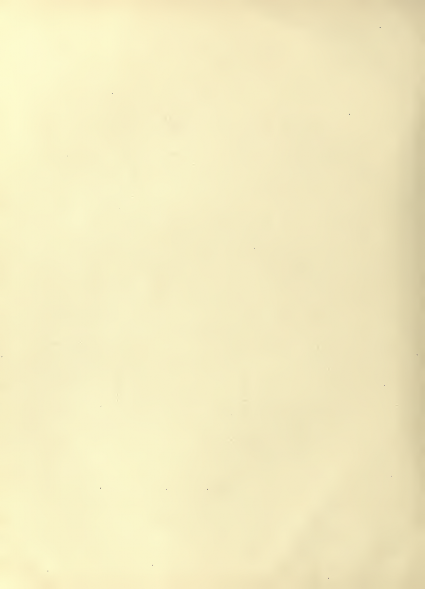 History of Chinese Writing Book
