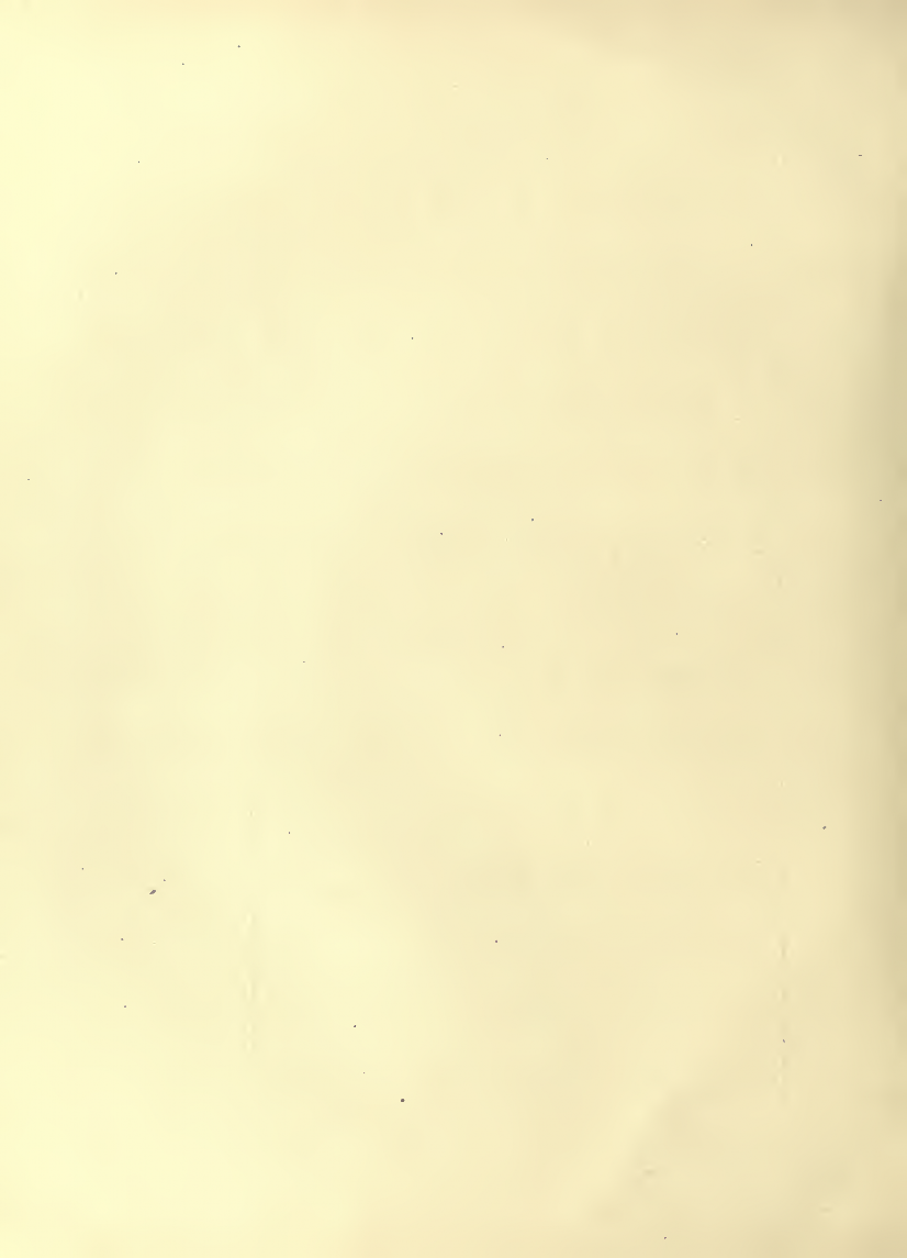 History of Chinese Writing Book
