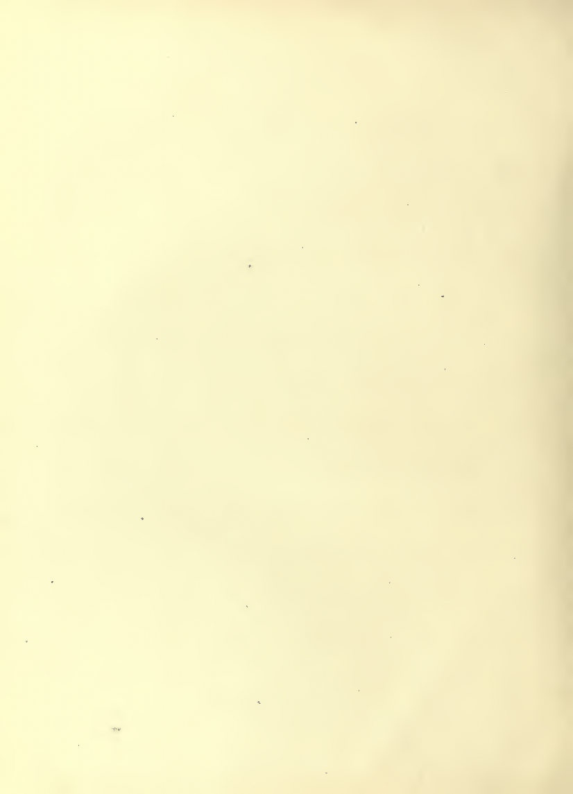 History of Chinese Writing Book