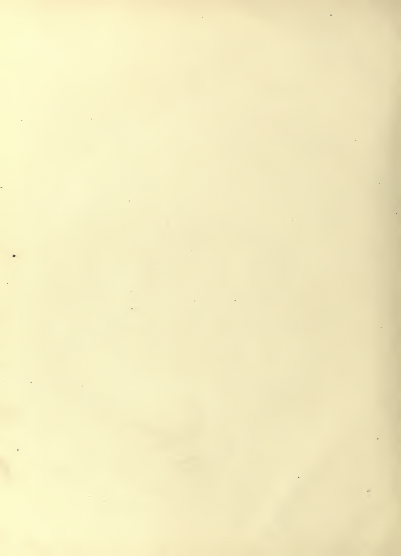 History of Chinese Writing Book
