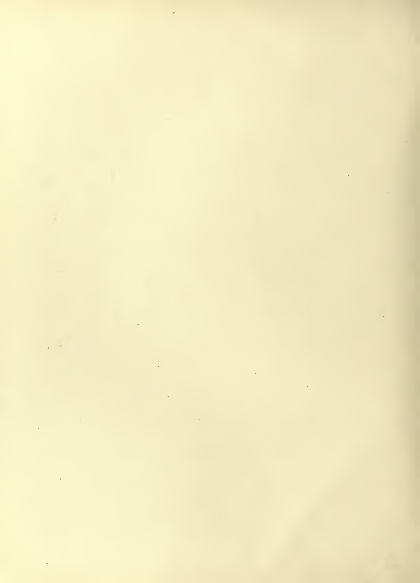 History of Chinese Writing Book