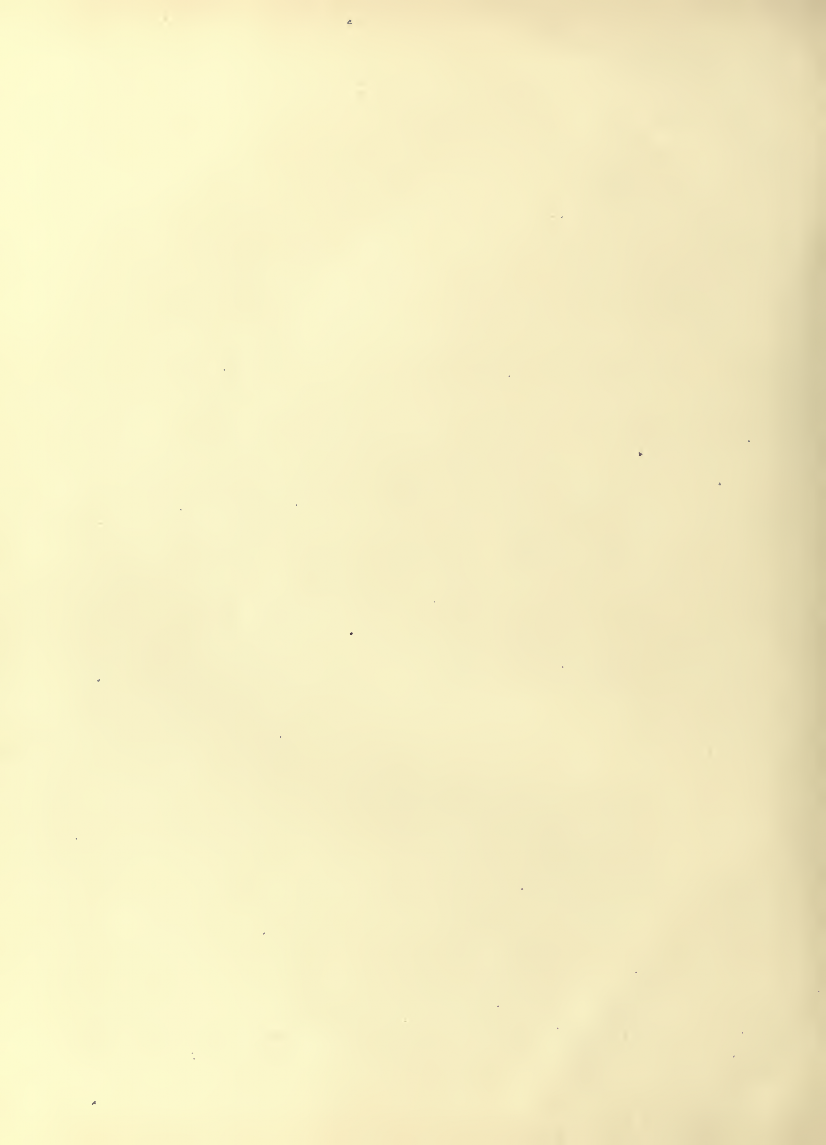 History of Chinese Writing Book