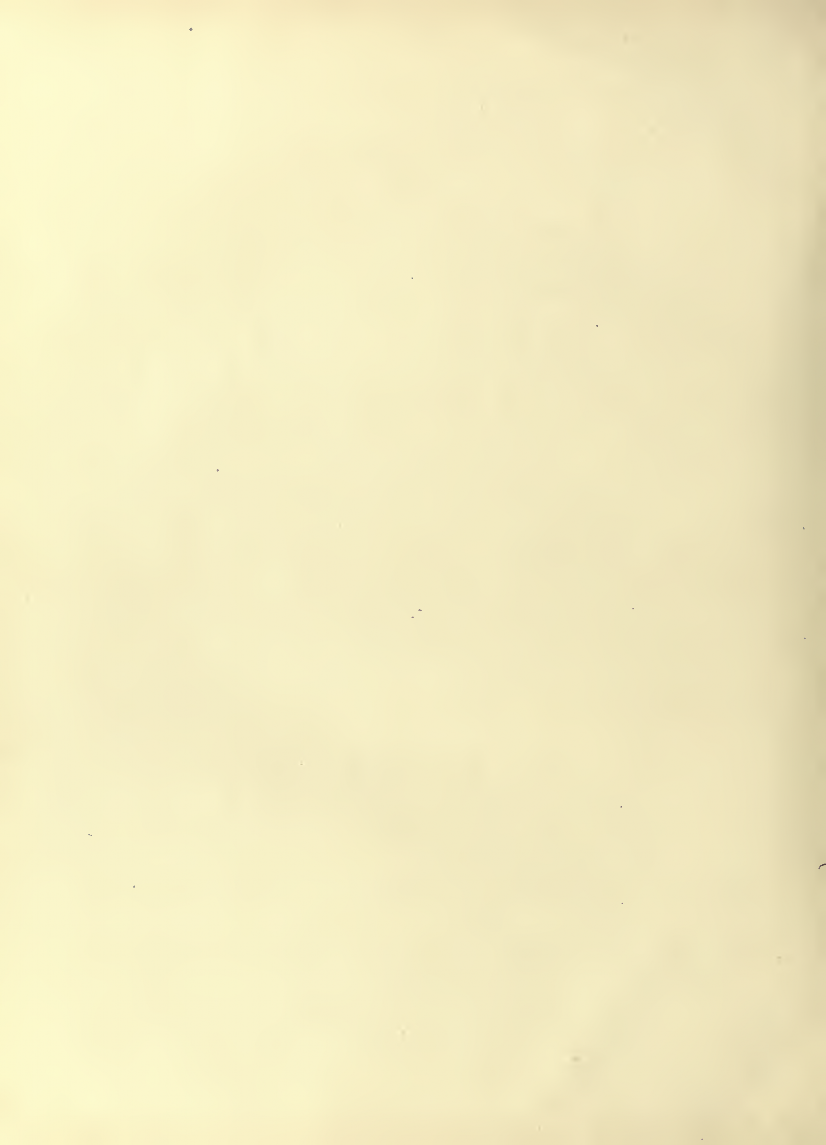 History of Chinese Writing Book
