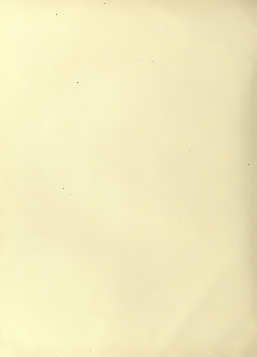 History of Chinese Writing Book