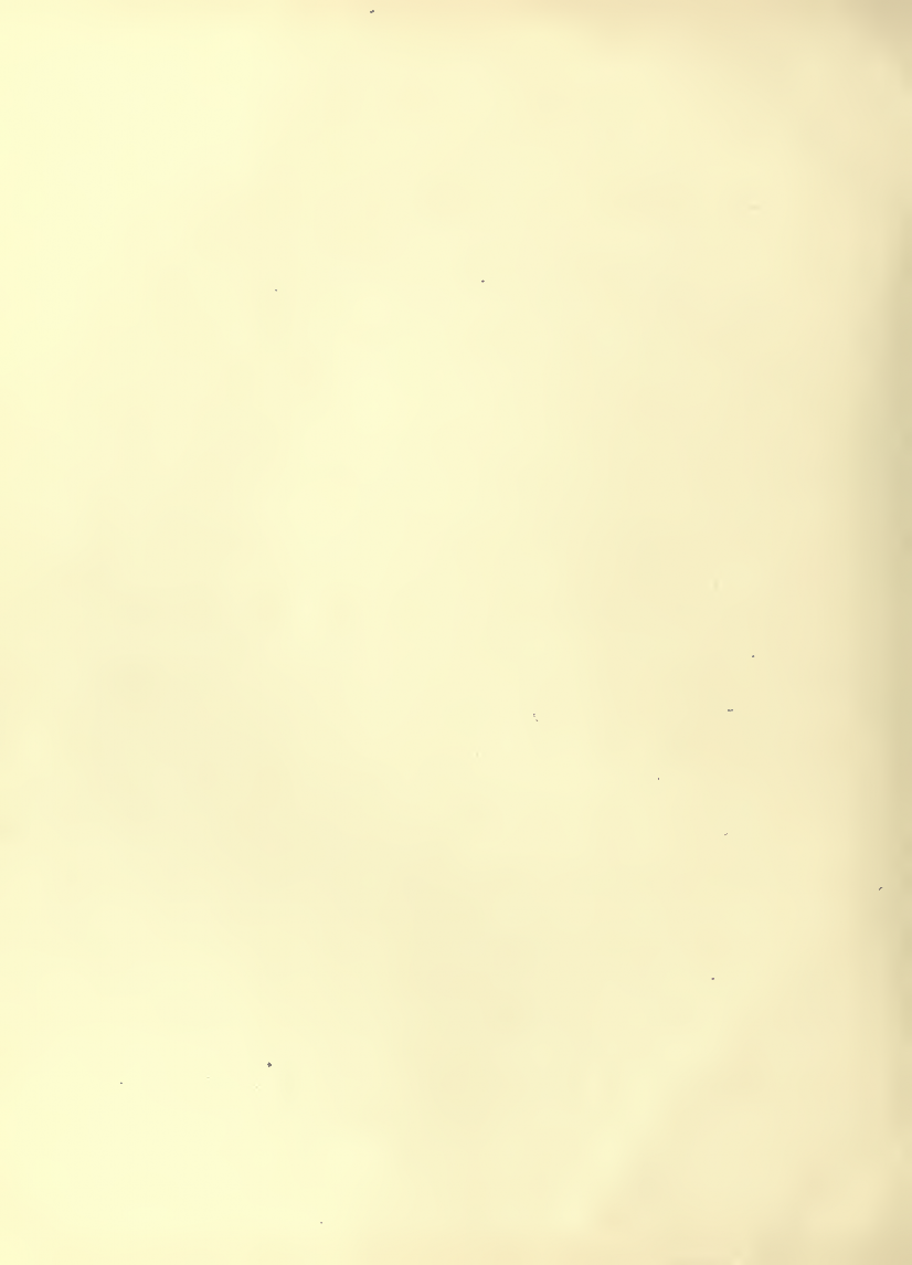 History of Chinese Writing Book