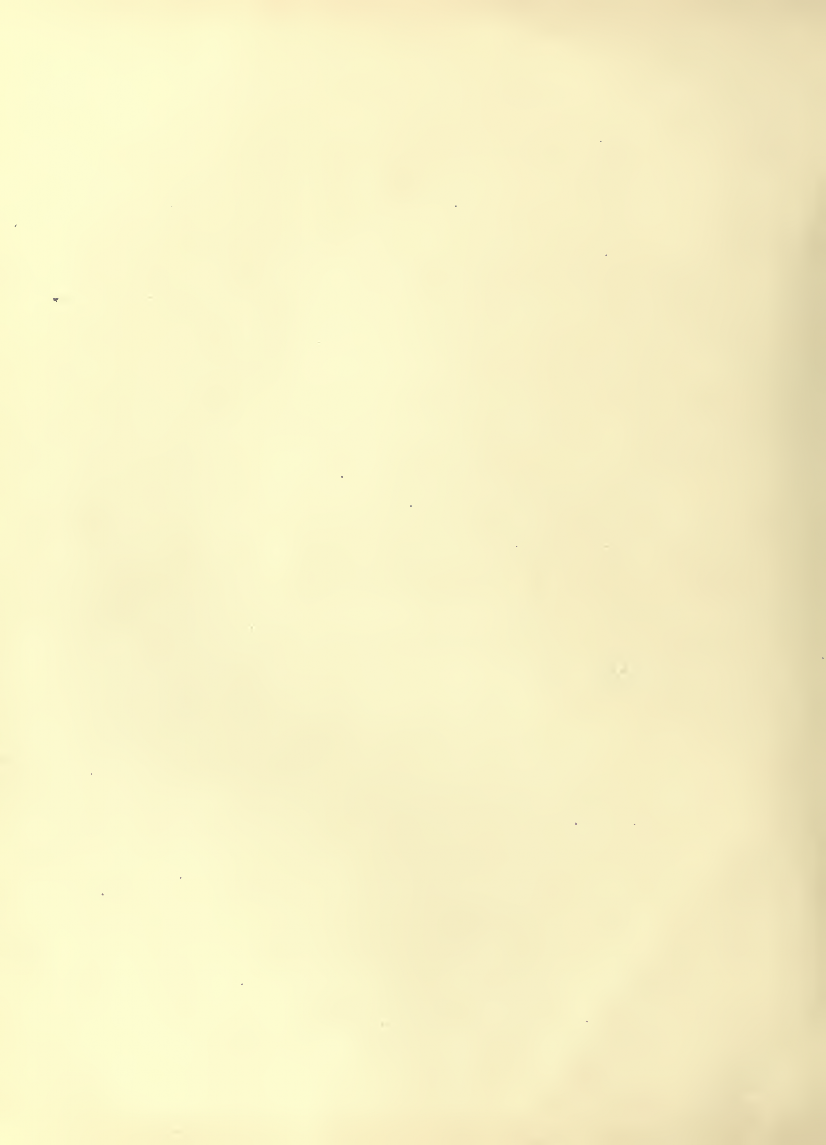History of Chinese Writing Book