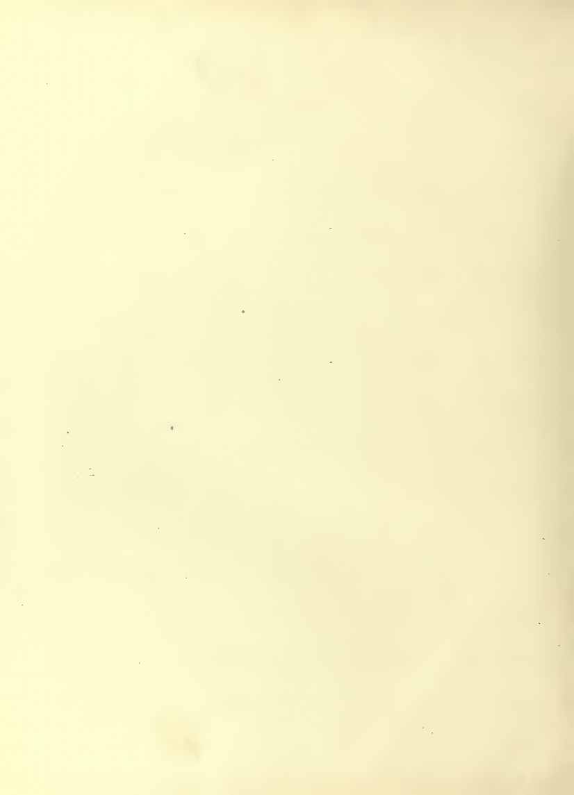 History of Chinese Writing Book