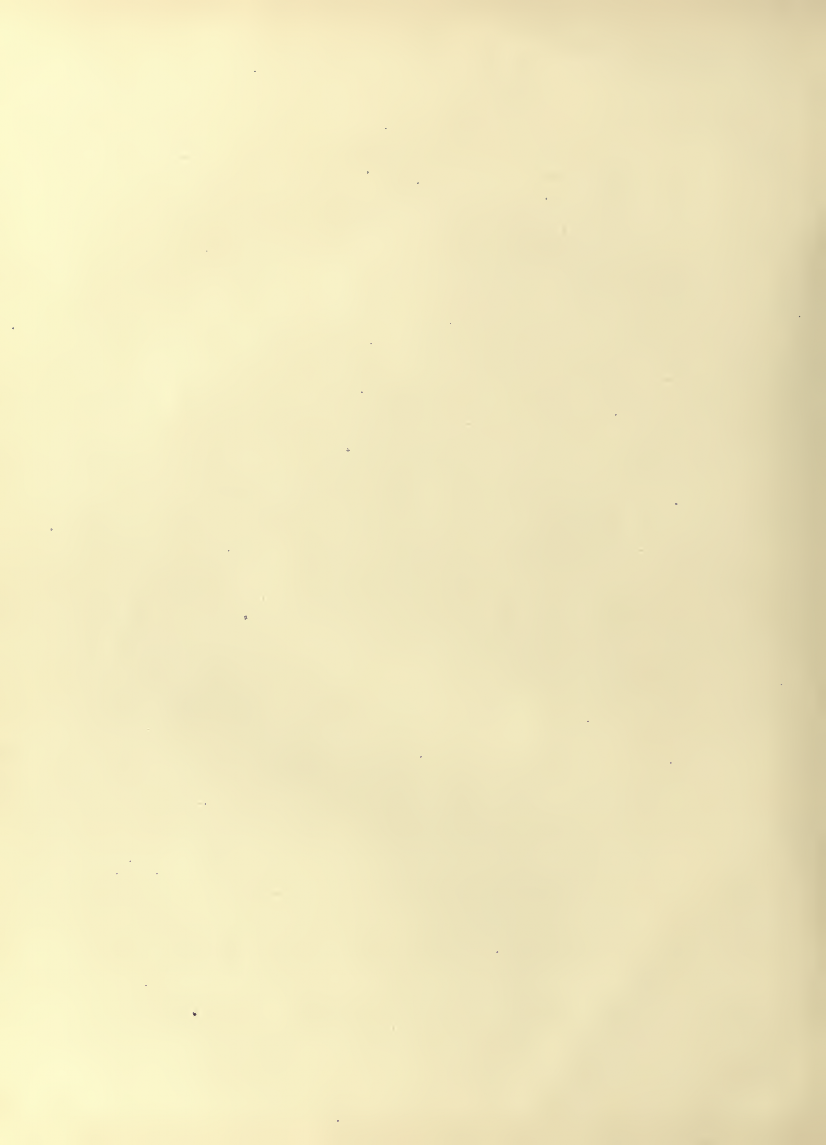 History of Chinese Writing Book