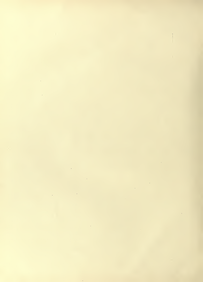 History of Chinese Writing Book