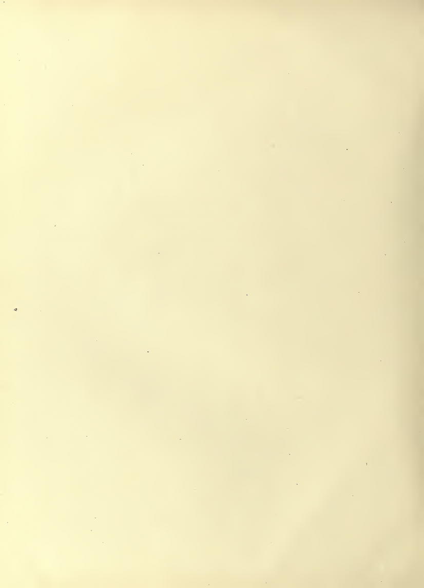 History of Chinese Writing Book