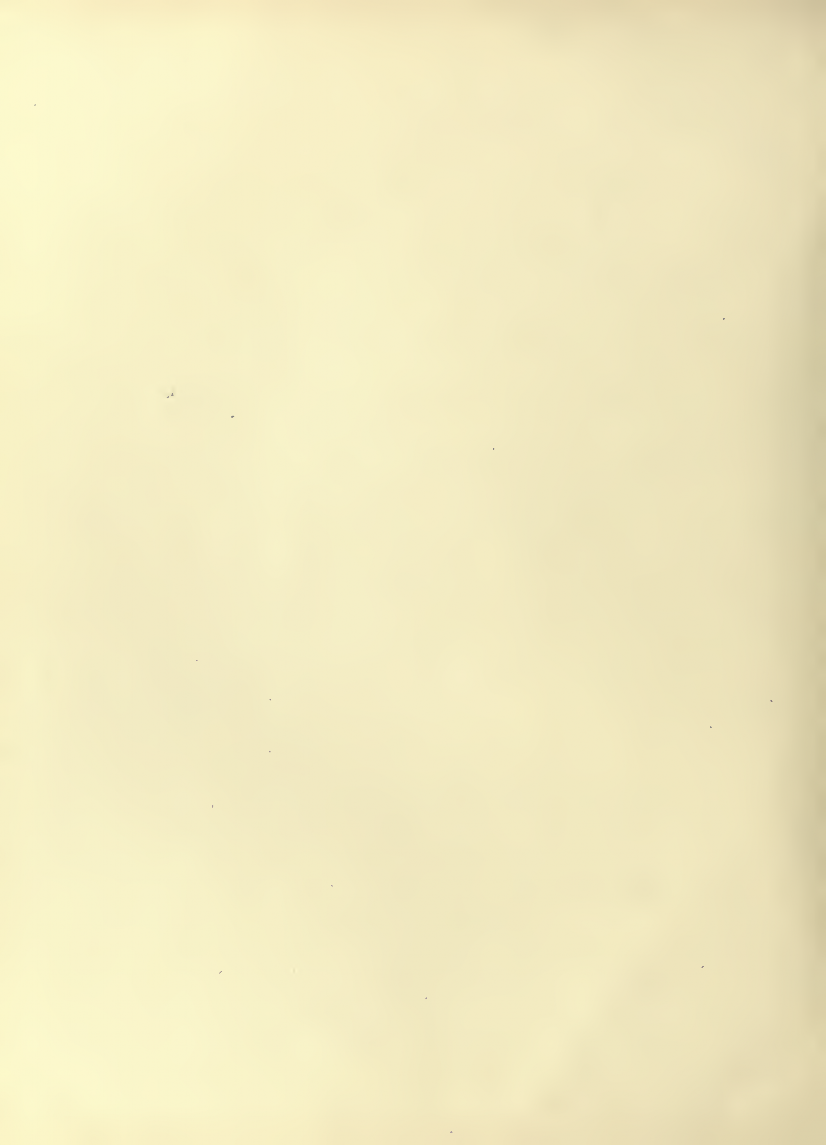 History of Chinese Writing Book