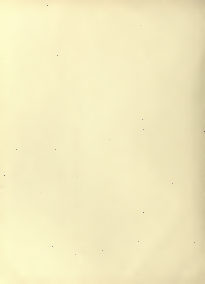 History of Chinese Writing Book
