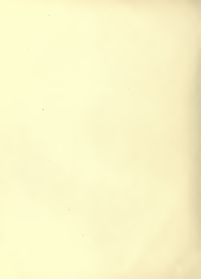History of Chinese Writing Book