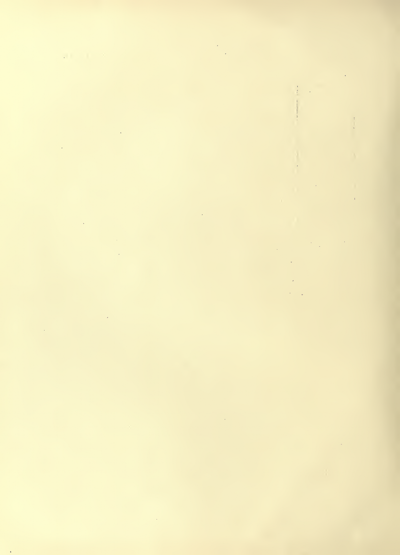 History of Chinese Writing Book