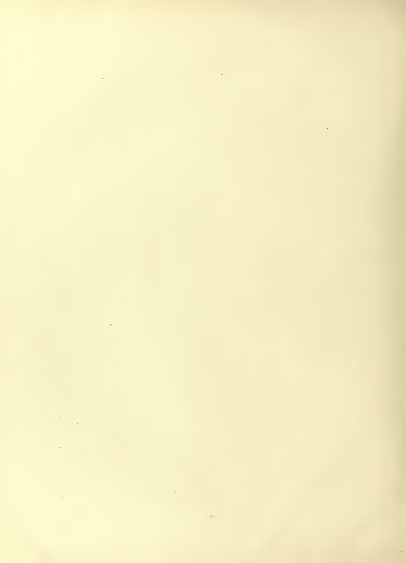 History of Chinese Writing Book