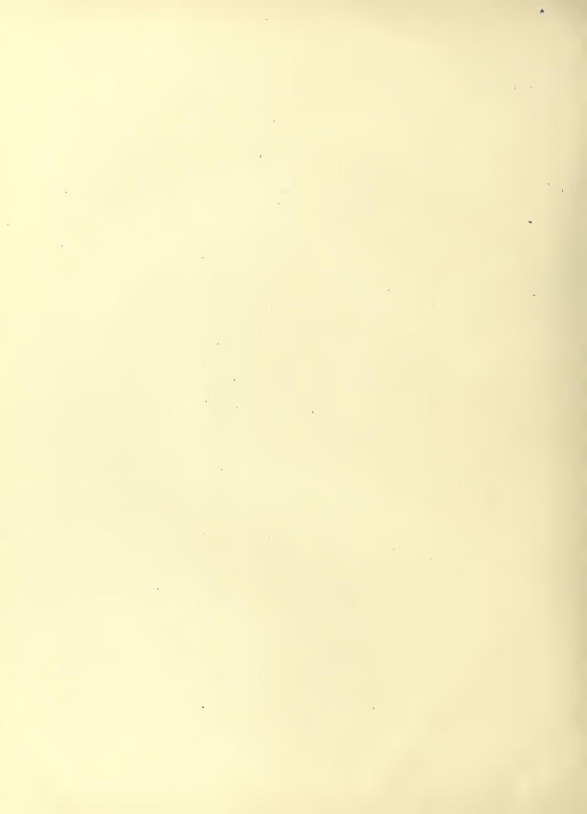 History of Chinese Writing Book
