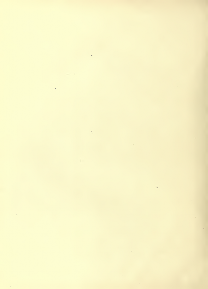 History of Chinese Writing Book
