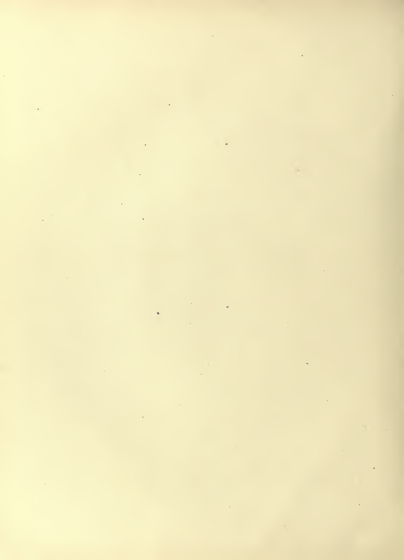 History of Chinese Writing Book