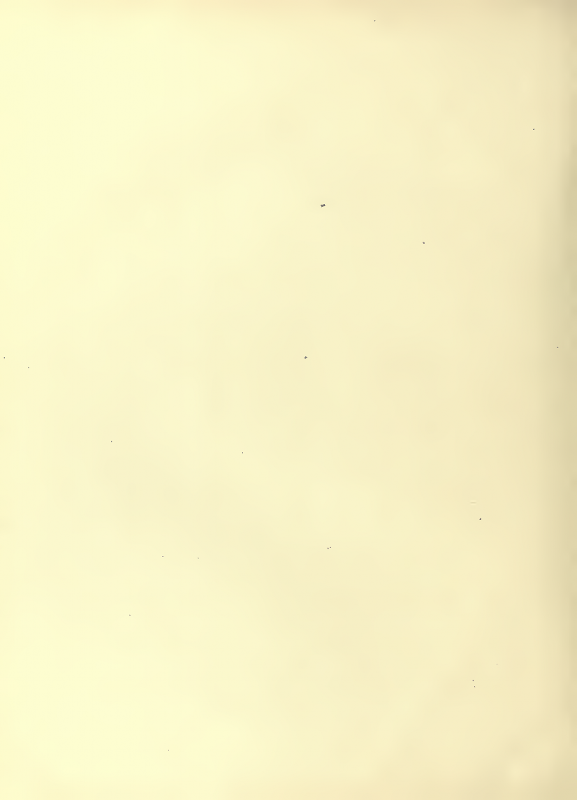 History of Chinese Writing Book