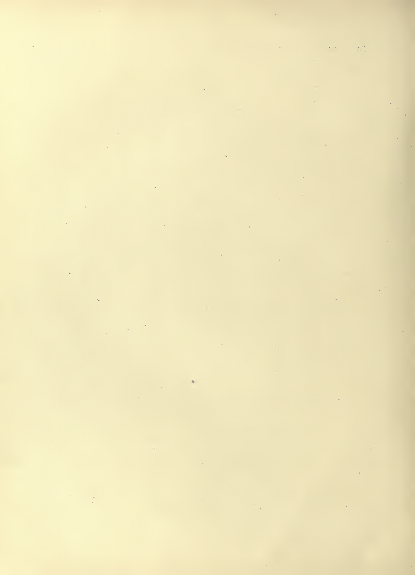 History of Chinese Writing Book