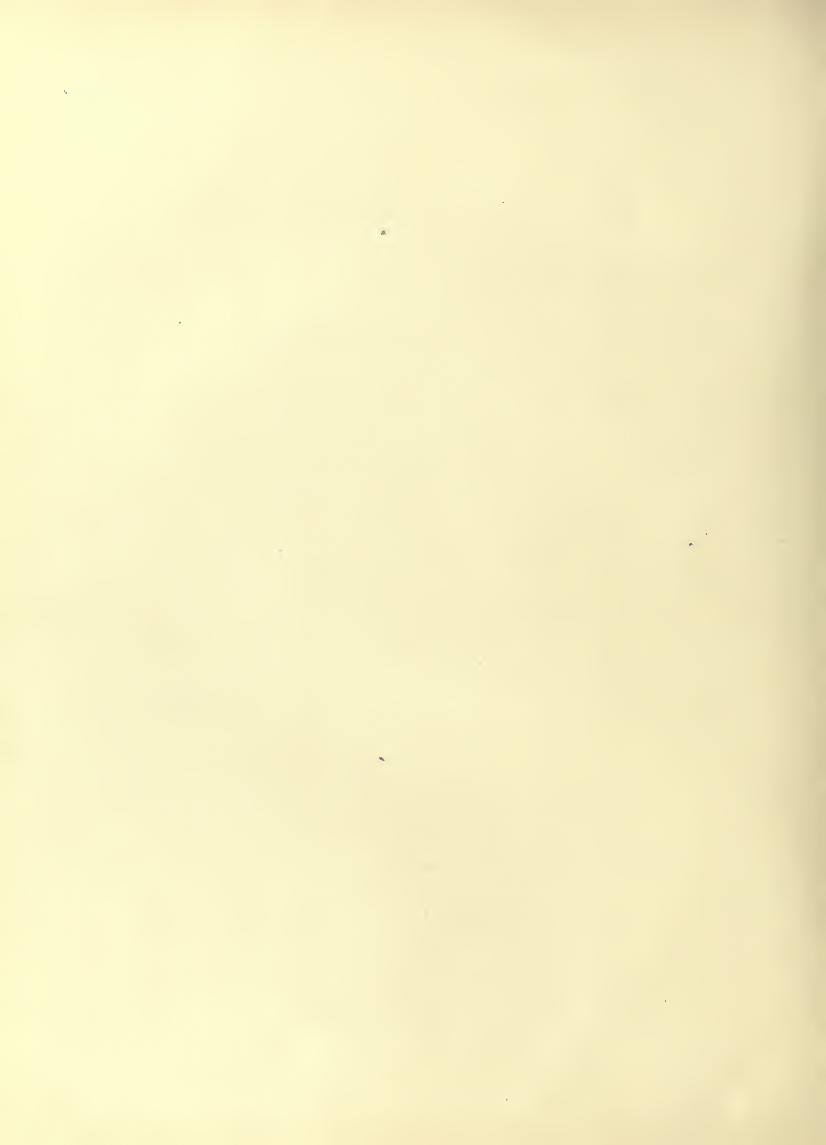 History of Chinese Writing Book