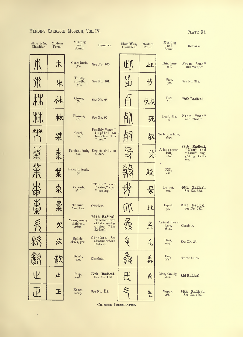 History of Chinese Writing Book