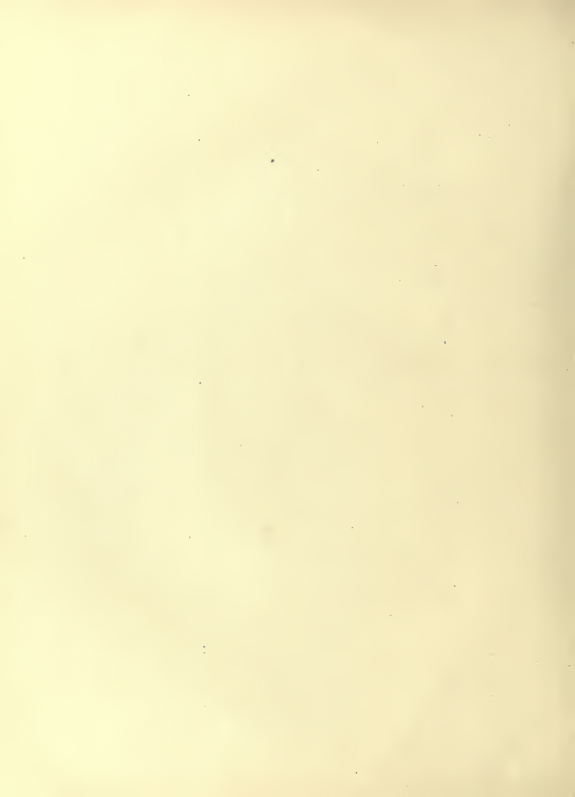 History of Chinese Writing Book
