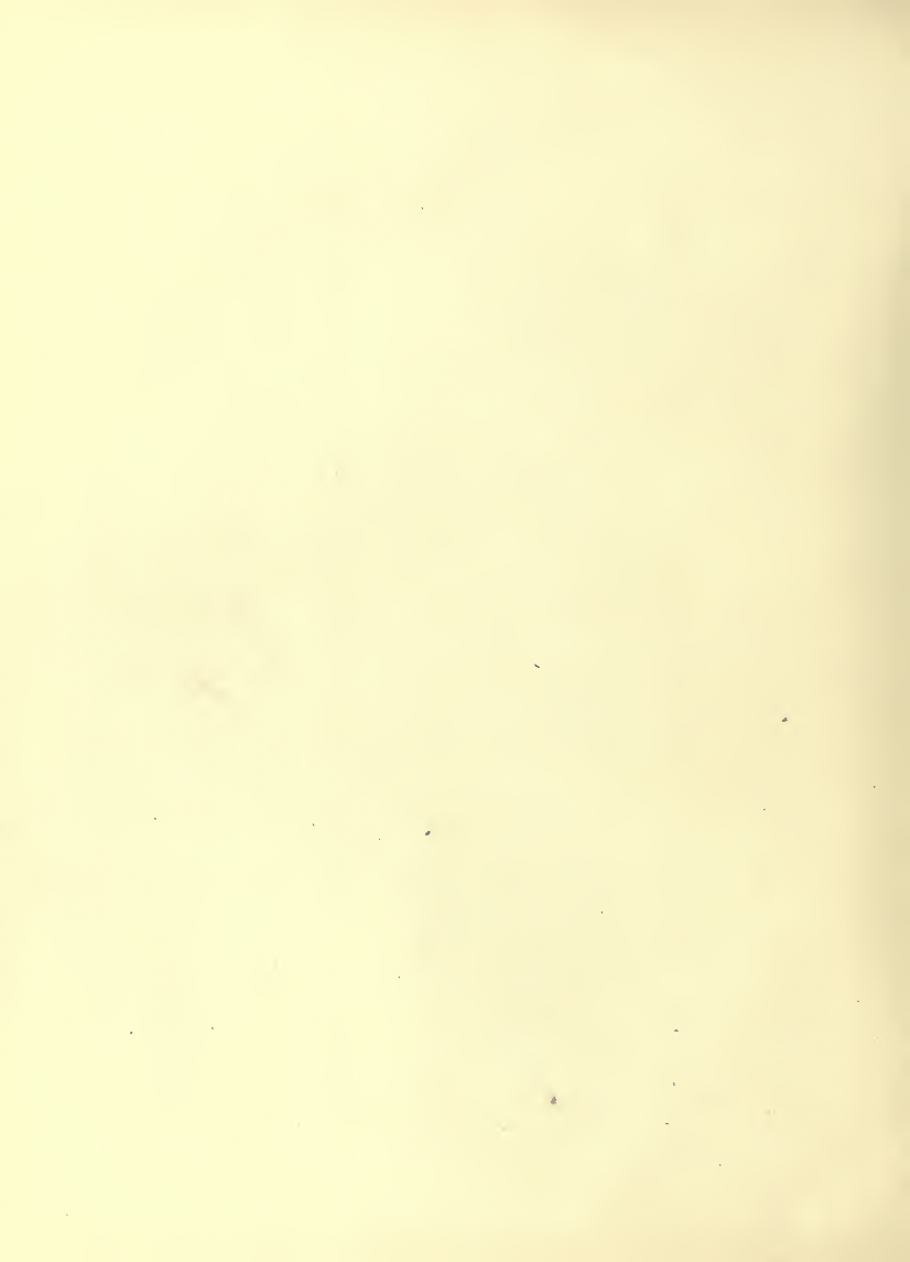 History of Chinese Writing Book
