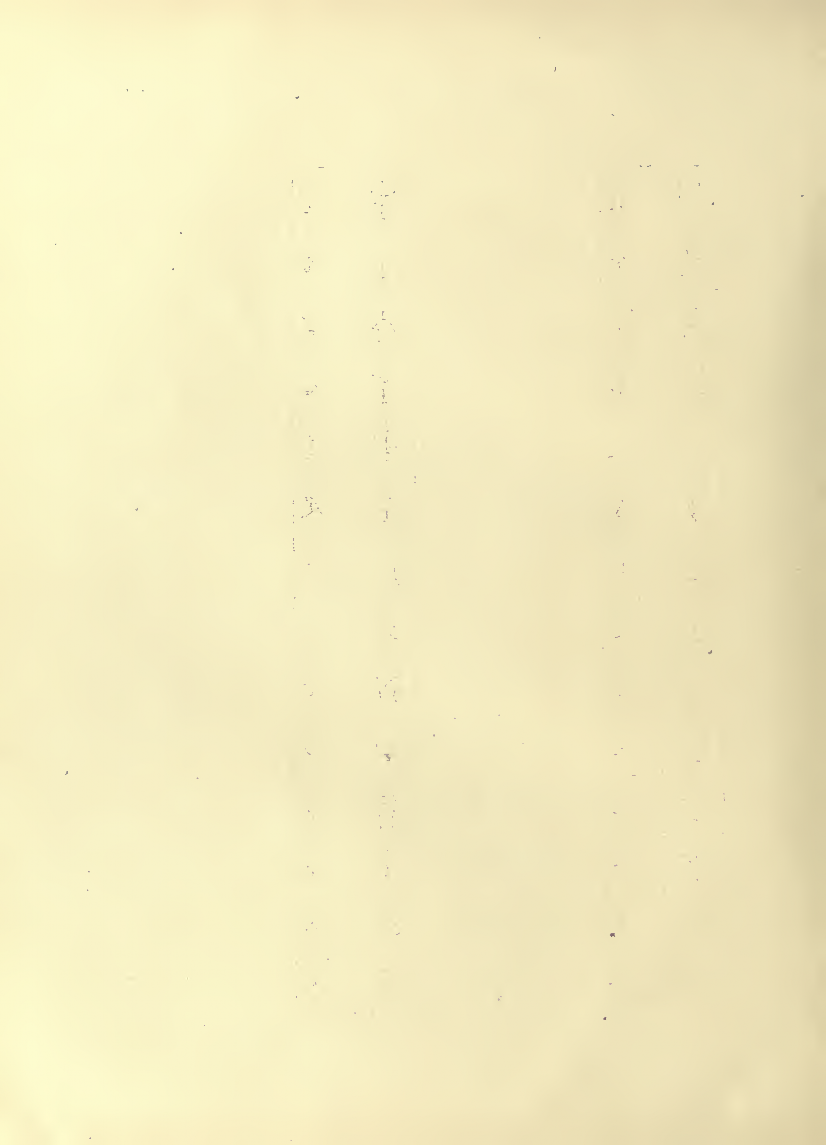History of Chinese Writing Book