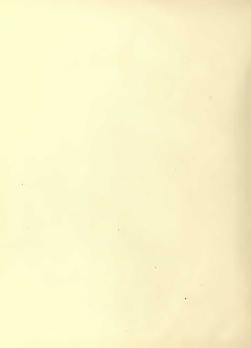 History of Chinese Writing Book