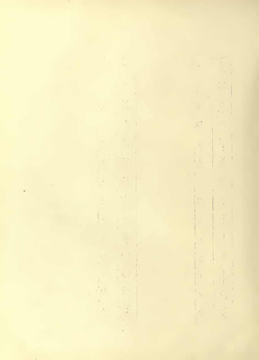 History of Chinese Writing Book