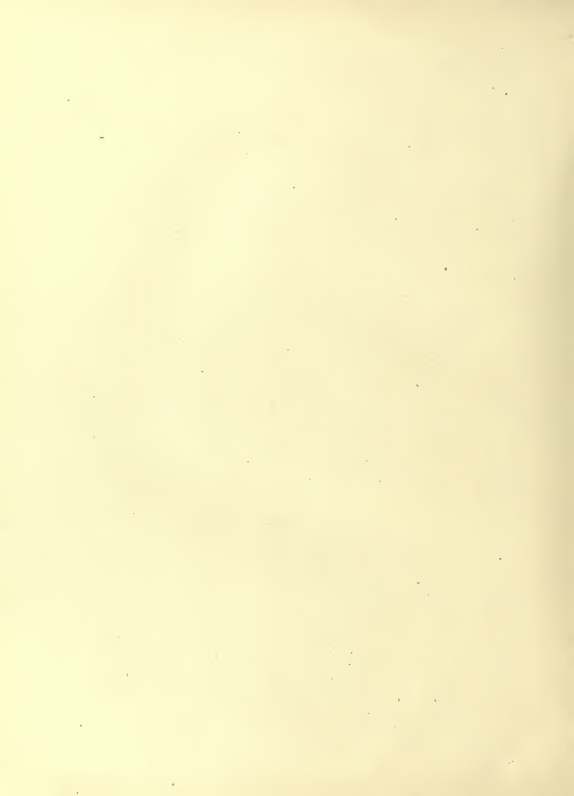 History of Chinese Writing Book
