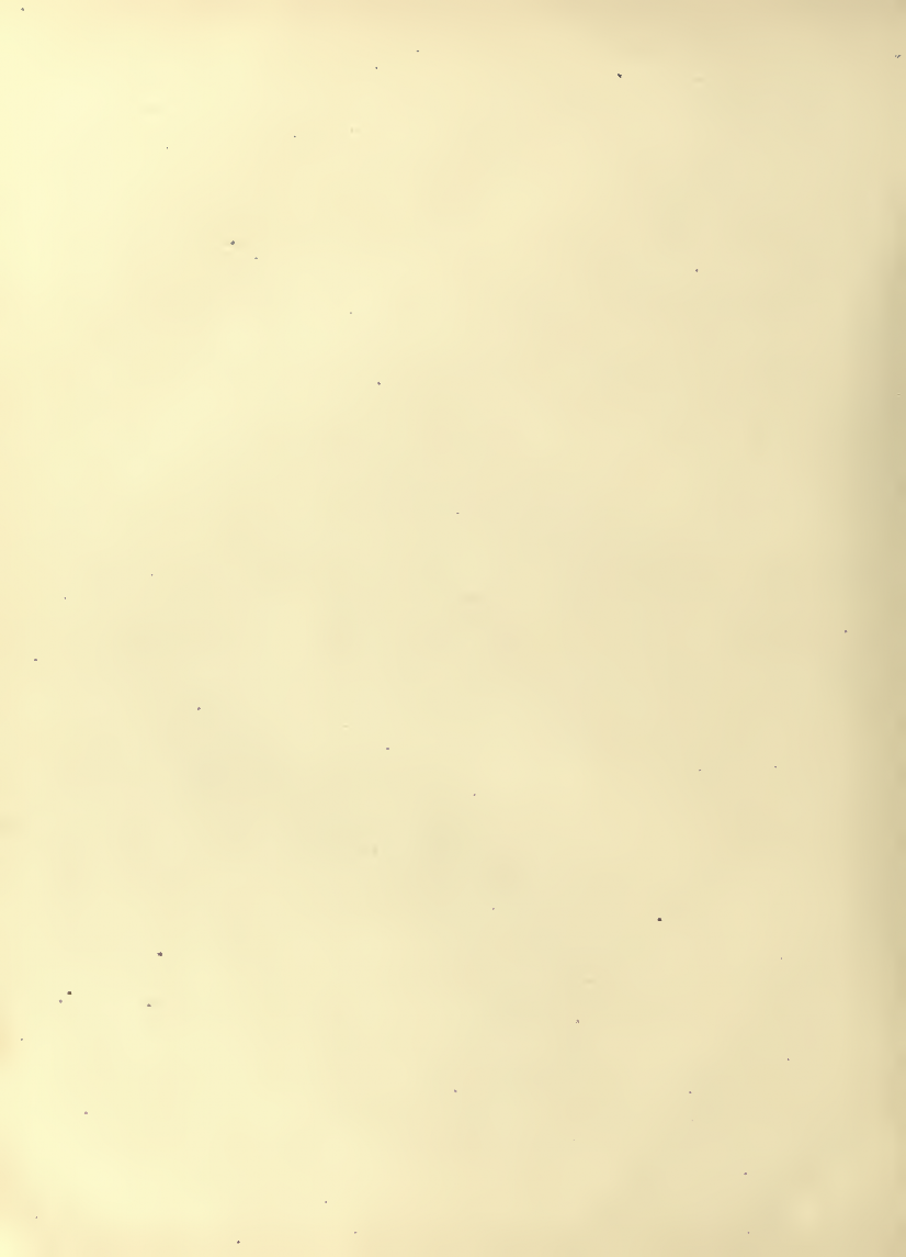 History of Chinese Writing Book